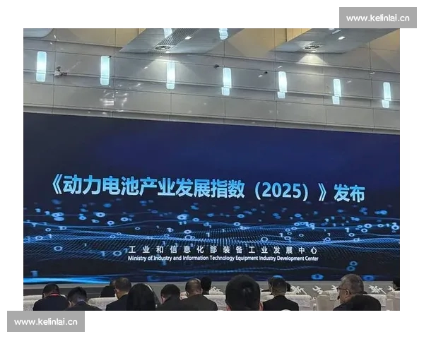 纵览世界足球百年风云与经典战绩演变趋势深度解析及未来发展方向探讨